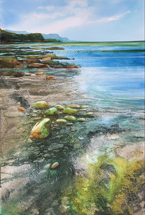 Rockpools - Sorrento Back Beach.jpeg