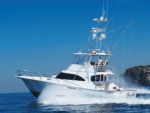 Barry Martin, Assegai Marine