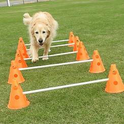 cavaletti small cones3.jpg