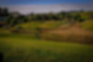 m_TRH (Surrounds)-8.jpg
