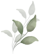 Sage Leaf Branch Out Retreats Logo