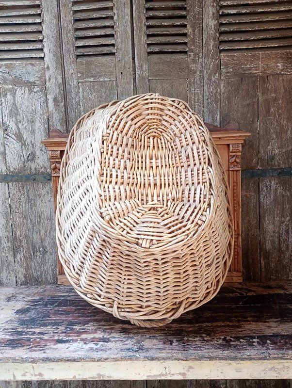 Thumbnail: Huge Antique thick wicker cane Washing / Wool / Bakers basket