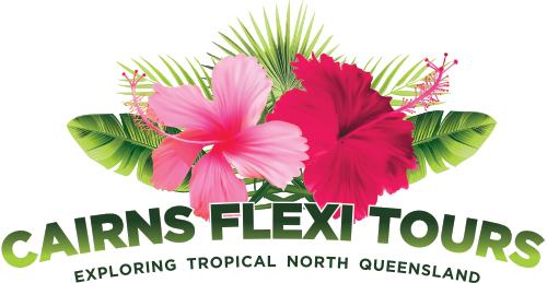 Cairns Flexi Tours Logo