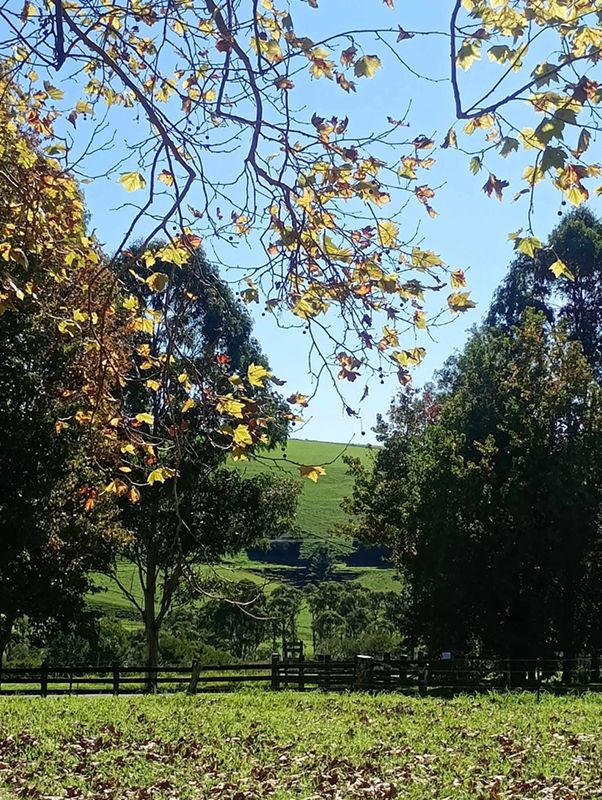 m_494815998_714966120913378_2610256033402648664_n