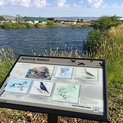 restored_pond_area.jpg