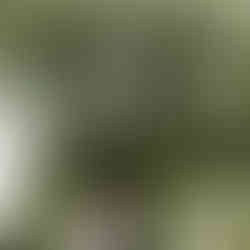 Elopement Wedding Portugal