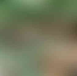 Como organizar um casamento ao ar livre | douxmariage.com.br/blog