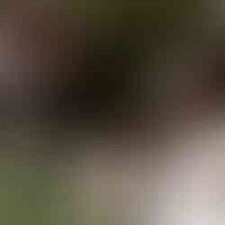 Dicas úteis para a troca de votos, casamento ao ar livre rio de janeiro