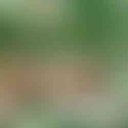 Como organizar um casamento ao ar livre | douxmariage.com.br/blog