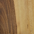 Holz des europ. Nussbaums (Walnuss)