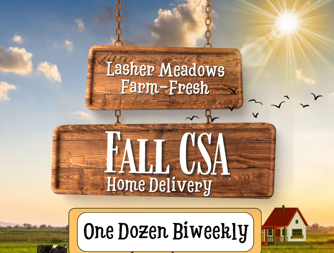 Fall Egg CSA 1 Dozen Chicken Eggs BIWEEKLY x 5 Weeks Home Delivery