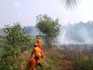 തൊഴിയൂരിൽ കൈരളി പാടത്തിൽ തീപിടിത്തം; ഗുരുവായൂർ ഫയർഫോഴ്‌സ് എത്തി തീ അണച്ചു