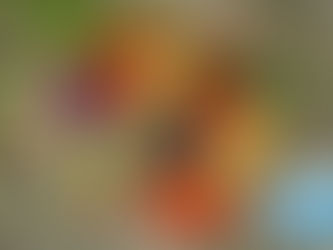 പൂക്കോട് വഴിയോര വിപണി ഇന്ന് ; കർഷക ഉത്പന്നങ്ങൾ നേരിട്ട് ലഭ്യം