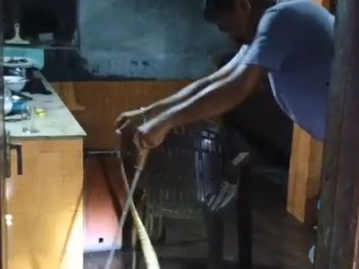 തൊഴിയൂരിൽ വീട്ടിനുള്ളിൽ മൂർക്കൻ പാമ്പിനെ പിടികൂടി