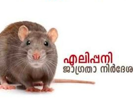 തൊഴിയൂരിൽ എലിപ്പനി സ്ഥിരീകരണം: ജലാശയത്തിൽ ഇറങ്ങരുതെന്ന് ആരോഗ്യവകുപ്പ് മുന്നറിയിപ്പ്