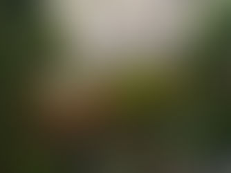 മരണമെത്തും നേരം | ✍🏻 ഷമീർ തൊഴിയൂർ