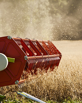 Combine Harvester on Field
