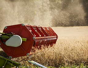 Combine Harvester on Field