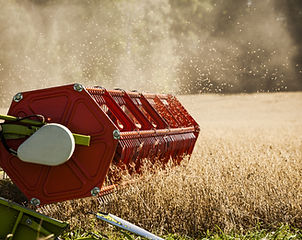 Colheitadeira no campo