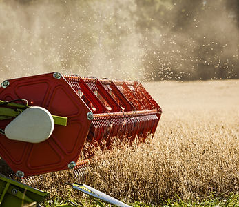 Combine Harvester on Field