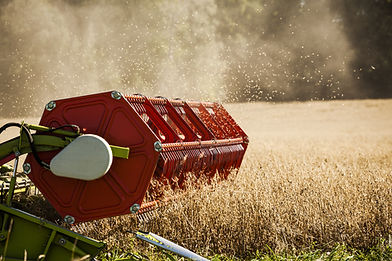 Combine Harvester on Field