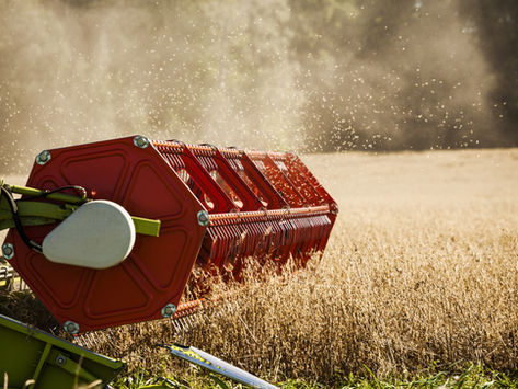 Harvest A Row for the Adam Holtkamp Memorial Scholarship