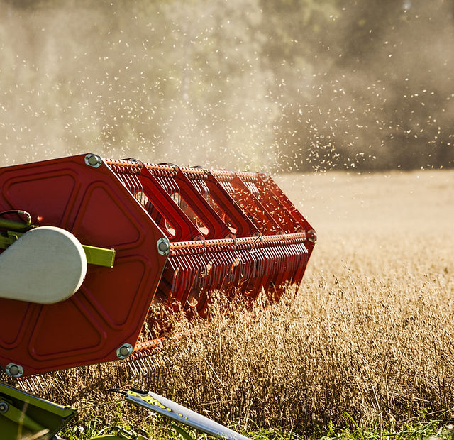 Combine Harvester on Field