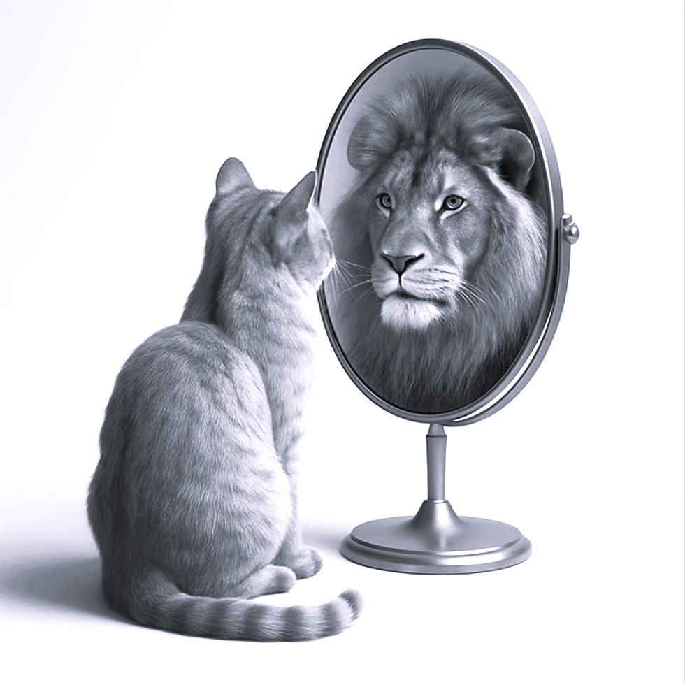 Chat Lion.png