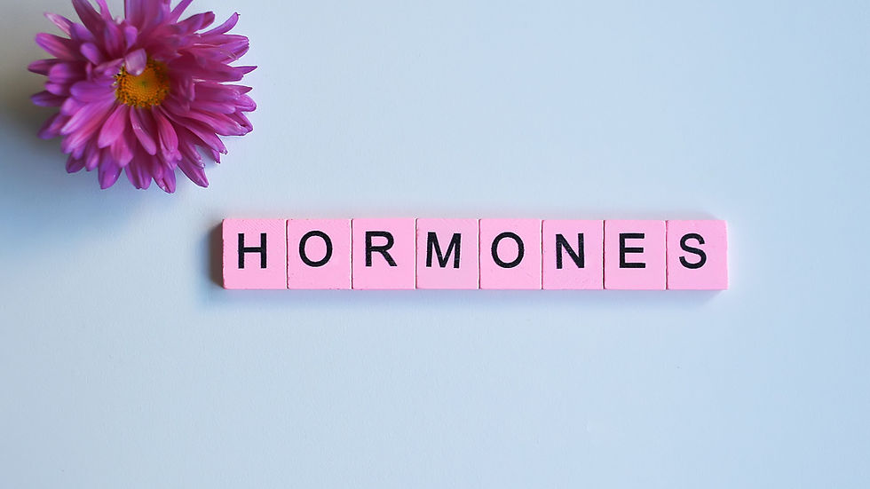 Perimenopause and Menopause Support: Know Your Options
