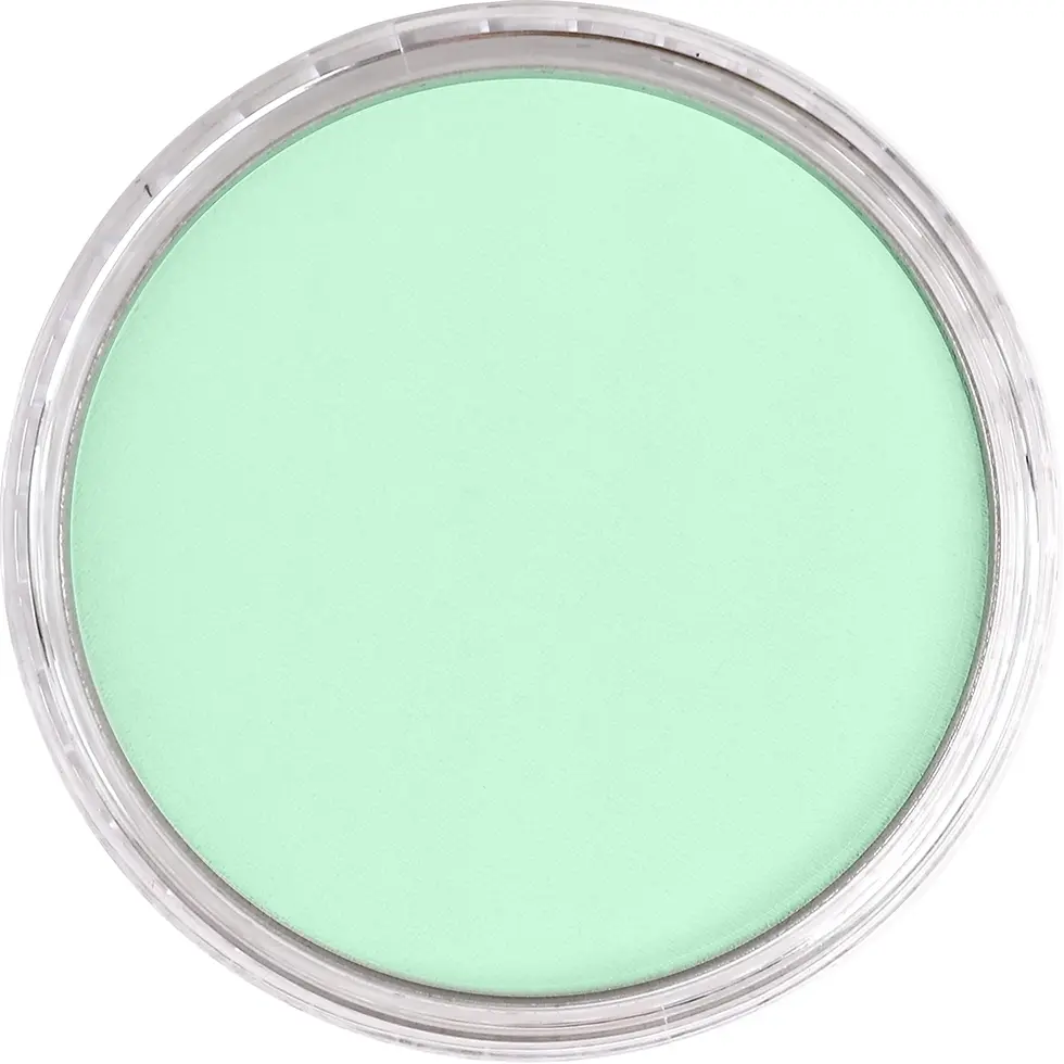 Miniature : PANPASTEL Vert permanent clair 640-8