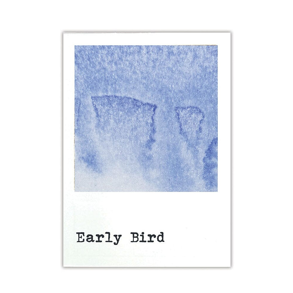 Miniature : RANGER Tampon encreur 49 And Market Dye Ink Early Bird