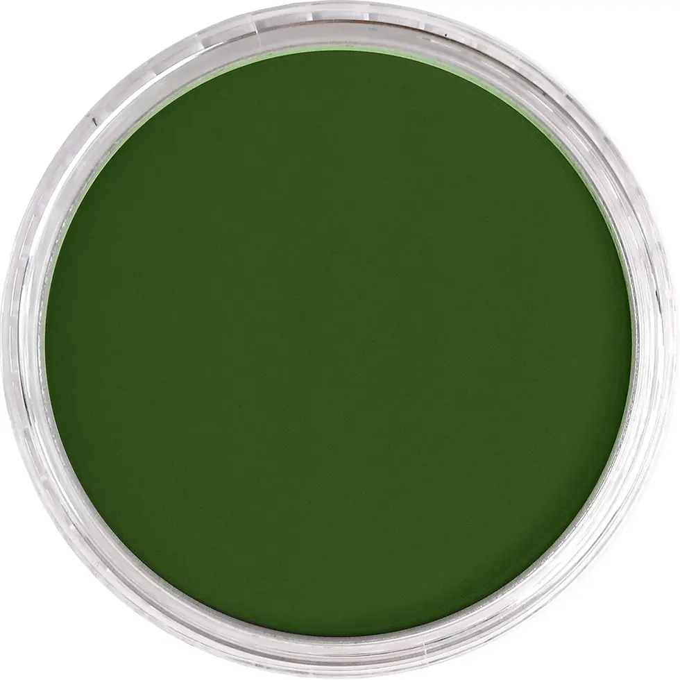 Miniature : PANPASTEL Chrome oxyde vert 660.5