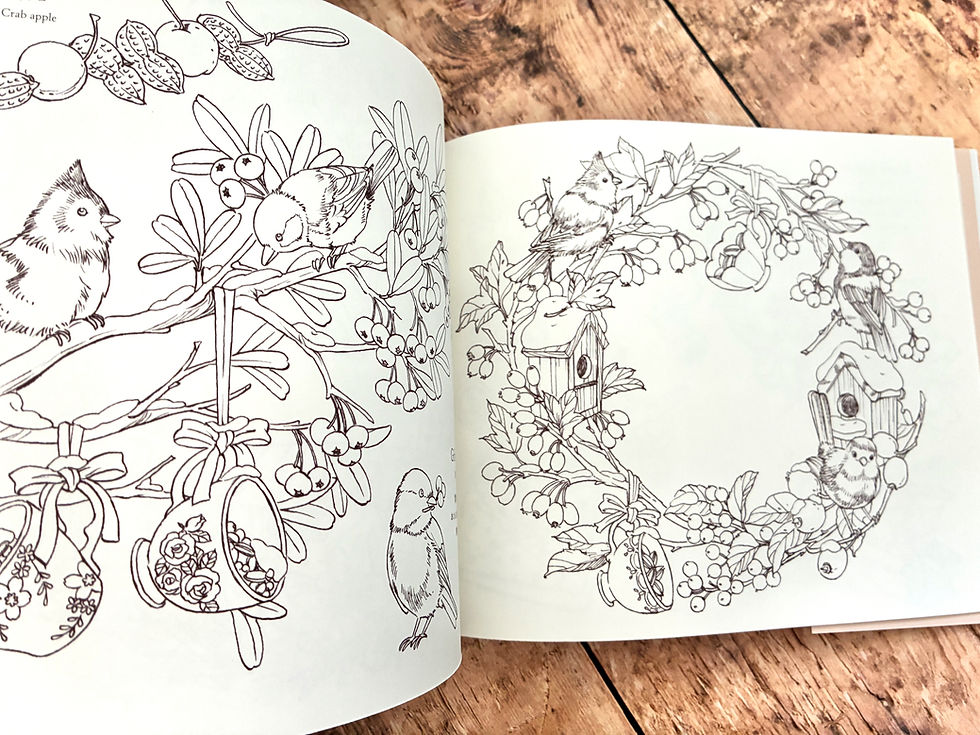 Miniature : Livre de coloriage "Seasonal Wreaths of Plants and Friends"