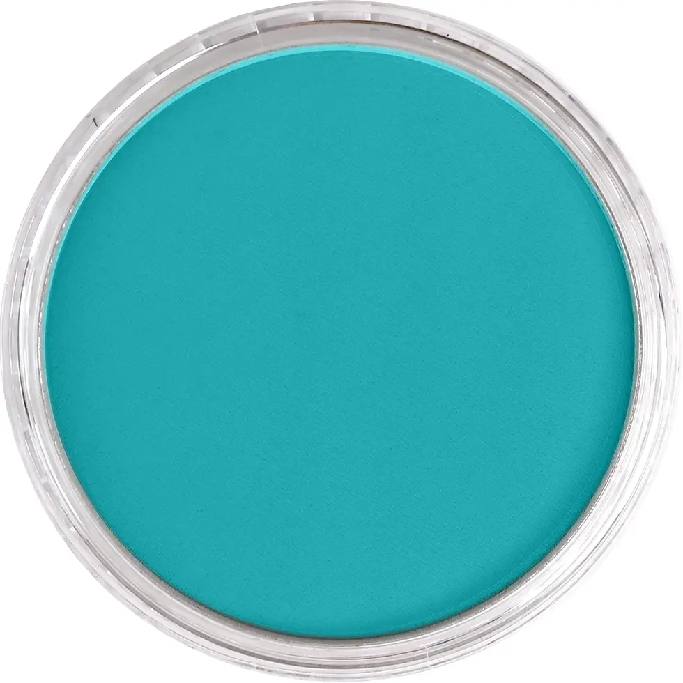 Miniature : PANPASTEL Turquoise 580.5