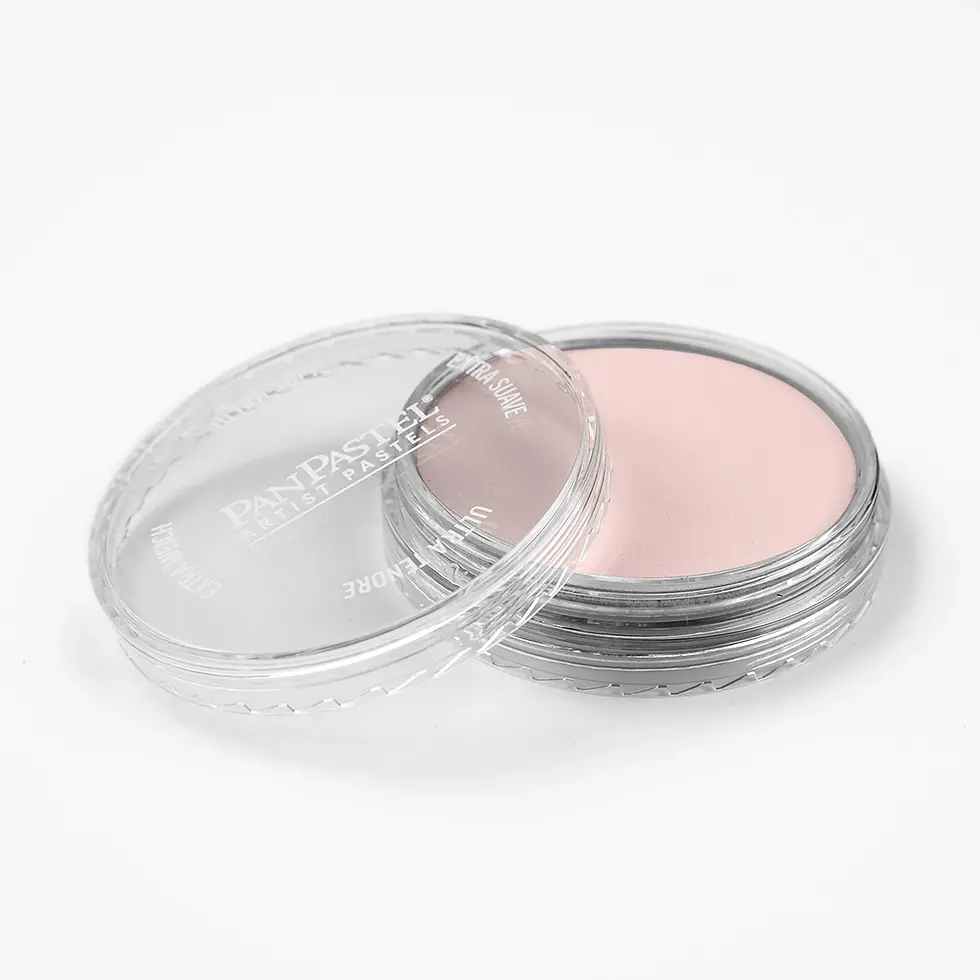 Miniature : PANPASTEL Vermillon pâle 310.8