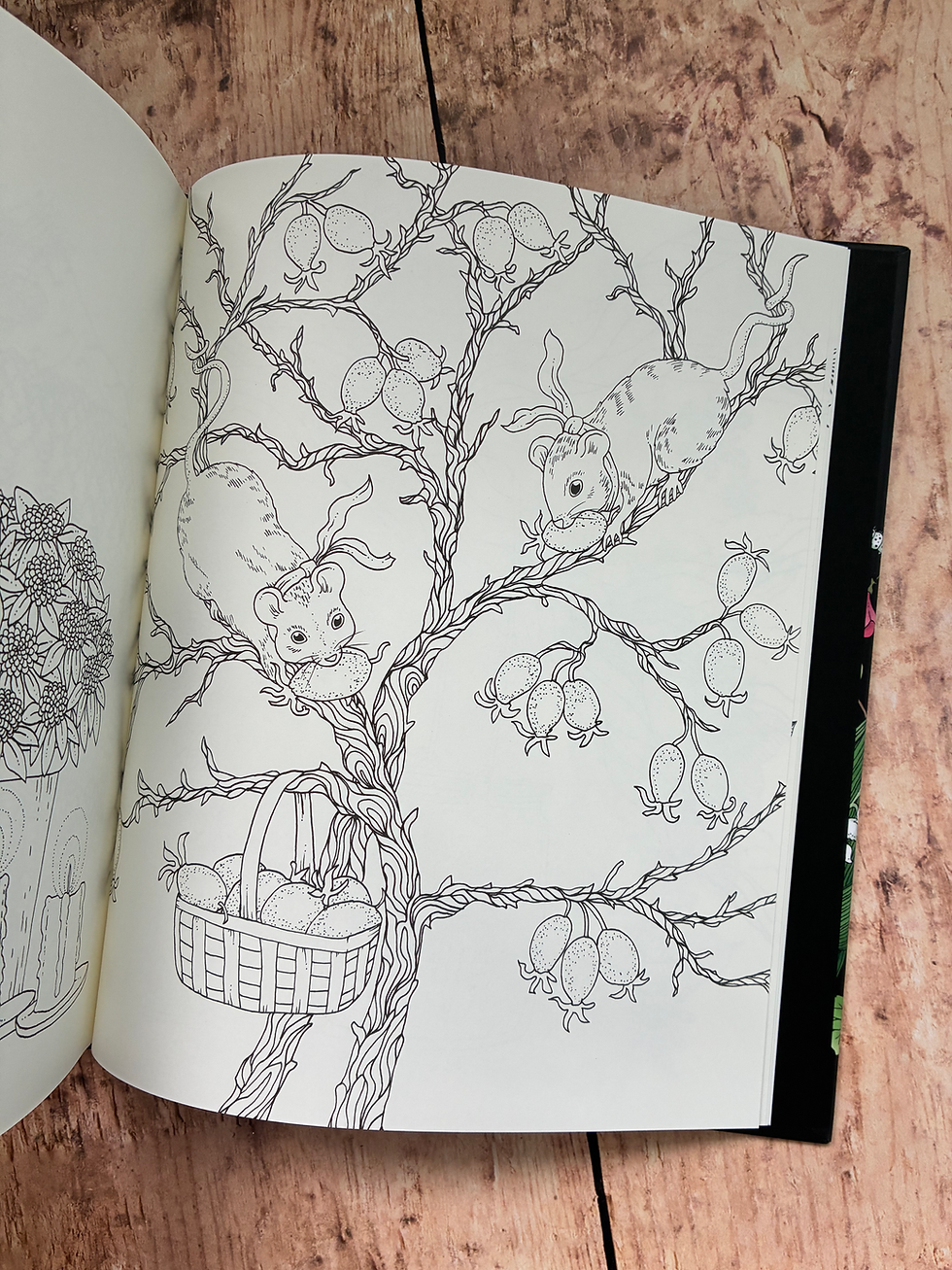 Miniature : MARIA TROLLE - Botanicum
