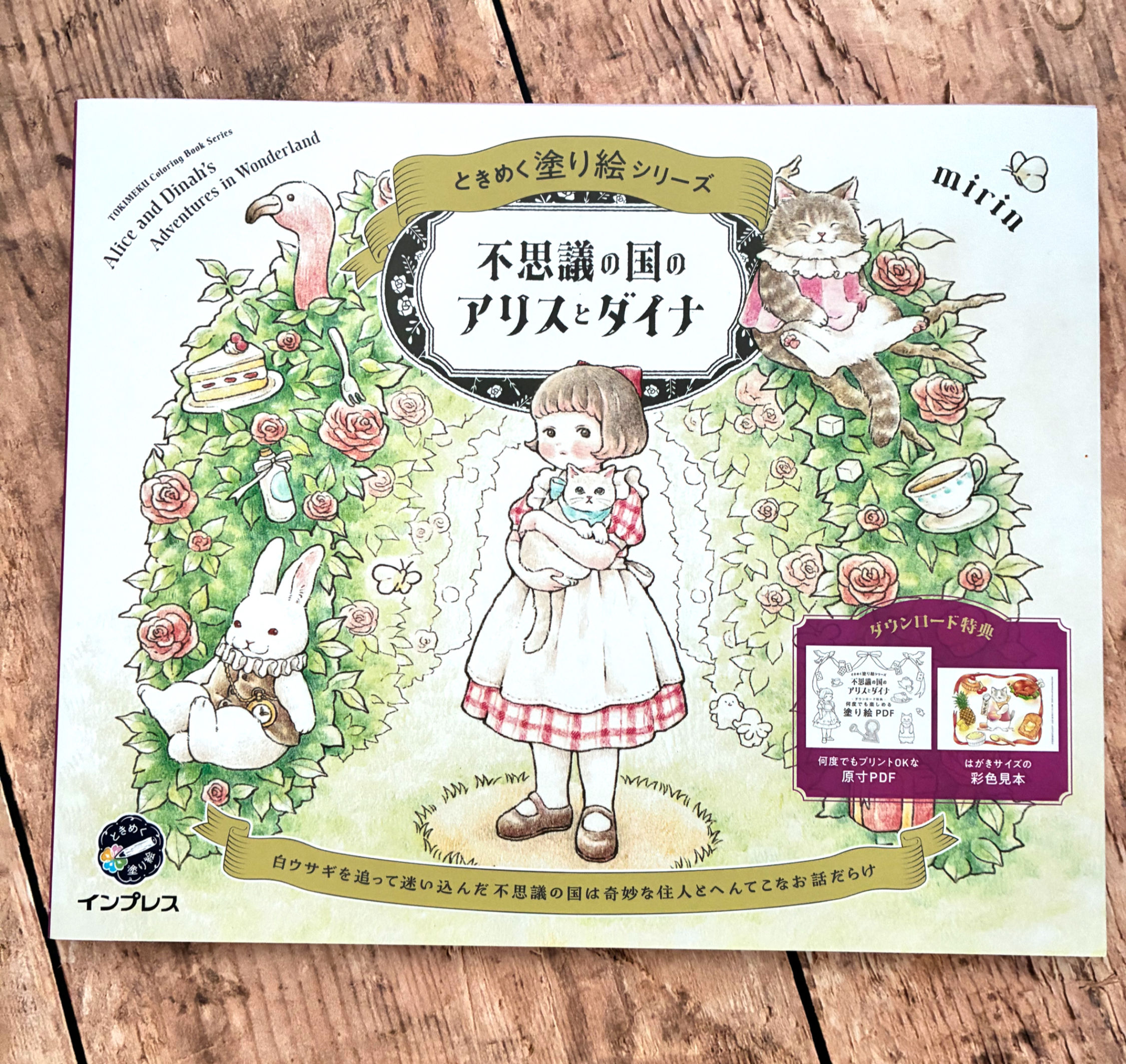 Livre de coloriage "Alice in Wonderland and Dinah"