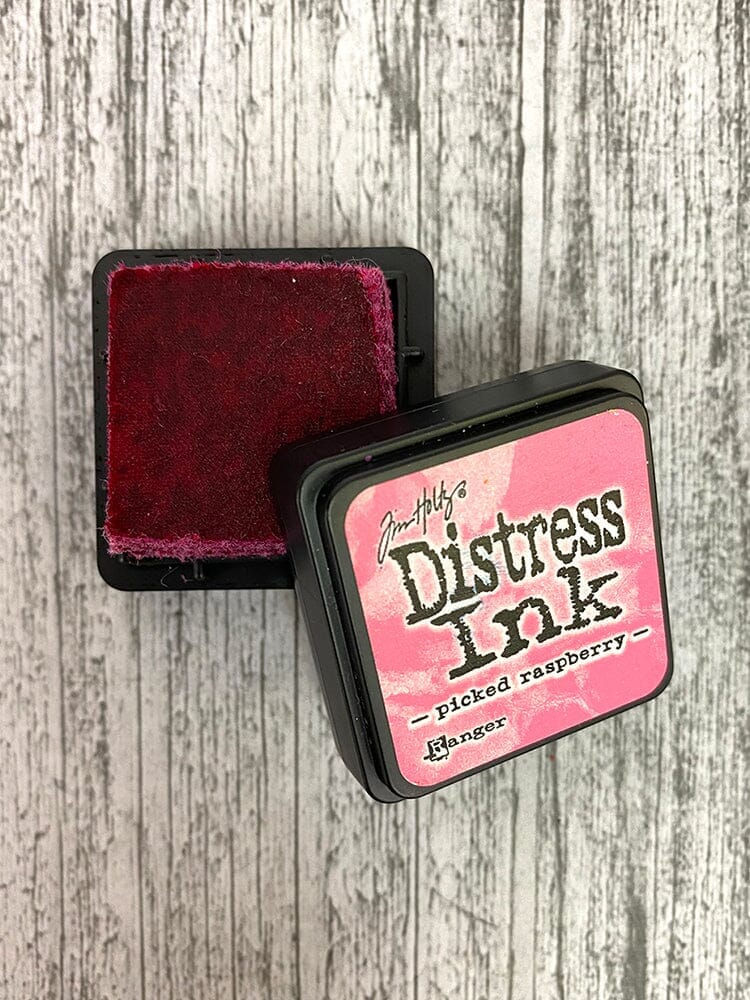 Miniature : RANGER Tim Holtz Distress Ink Mini tampon encreur Picked Raspberry