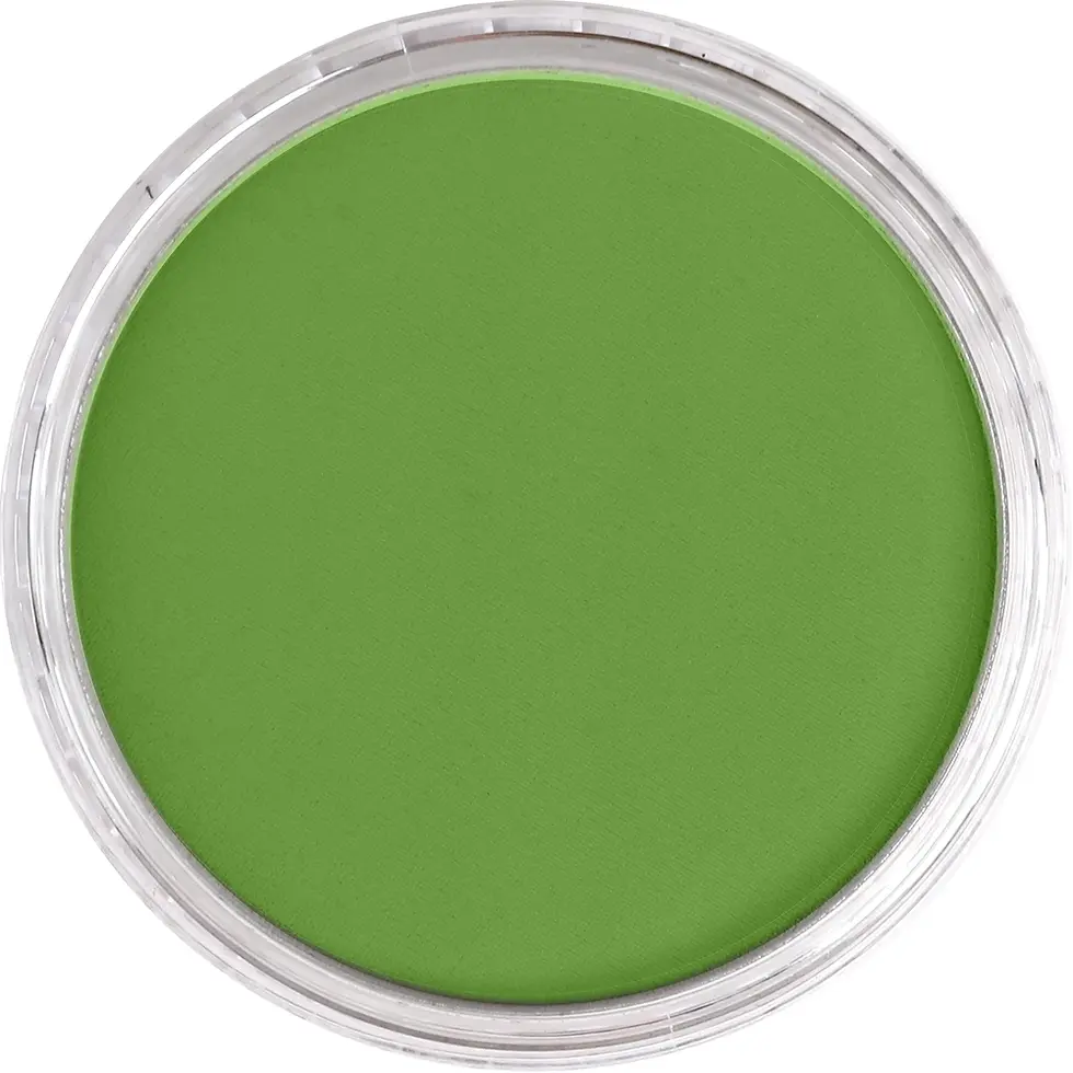 Miniature : PANPASTEL Vert jaune foncé 690.3