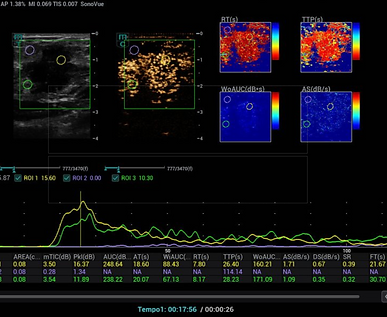 Captura de pantalla 2026-08-14 a la(s) 4.59.03 p.m..png
