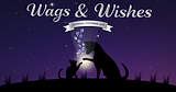 Website Hero Image (1).png