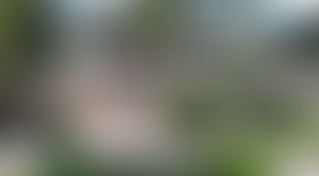 Panorámica de Vida: clínica de rehabilitación en adicciones en Querétaro