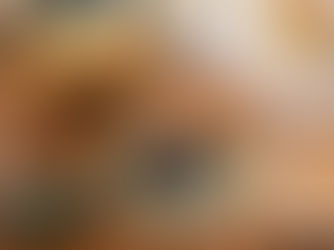 Seika Ramen: la chispa japonesa que prende fuego al paladar de Querétaro