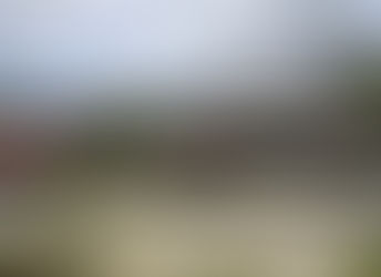 SERVIAM: el latido eterno del Colegio Merici, donde aprendimos a servir y a ser