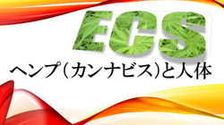 カンナビノイドシステム