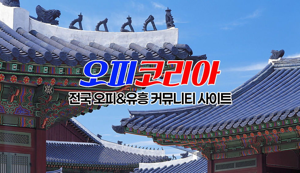 전주 최고의 오피사이트 오피코리아