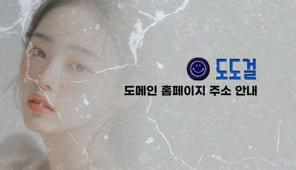 도도걸 최신주소 안내 페이지