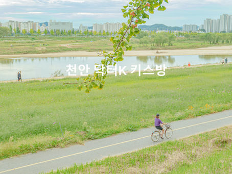 천안 성정동 닥터K 키스방 | 스타나이트 인근 추천 후기 · 비용