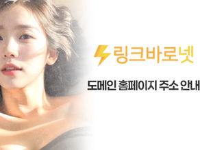 링크바로넷, 세상의 모든 링크를 링크모아