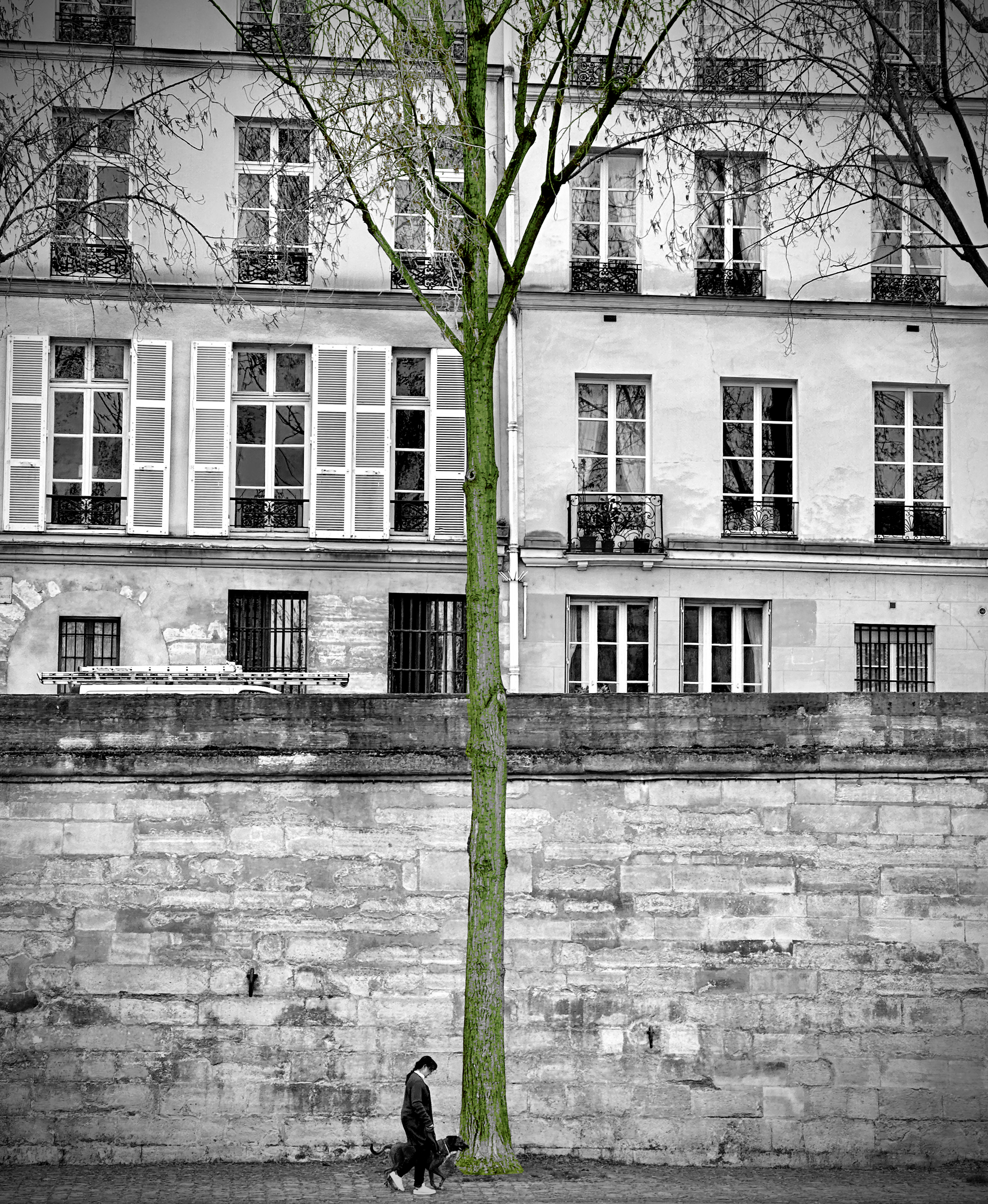 Dog Walker by the Seine, Paris, France